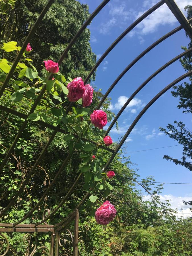Le Cottage Mirabelle Epaignes ภายนอก รูปภาพ
